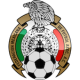 Mexiko matchtröja